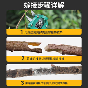 Yocan Grafting Knife 10-20 Mm Alloy Steel High Efficiency <b>Pruning</b> <b>Tool</b> For Fruit <b>Tree</b> Grafting - Product Image 4