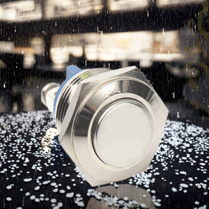 16Mm Messing Pulsador Motorfiets Knop <span class=keywords><strong>220</strong></span> <span class=keywords><strong>Volt</strong></span> 1no Momentary Push High Flush Normaal Open Schroef Waterdicht Metaal Ip65 Niveau 3a - Product Image 4