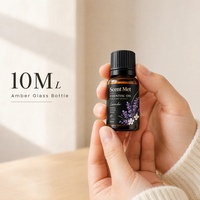 Ensemble de 12 Huiles Parfumées 10ml en Verre Ambré pour Diffuseur et Humidificateur – Idéal Cadeau et Vente en Gros