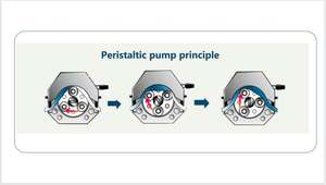 Ditrontech حار بيع منخفضة السعر مضخة تمعجية رئيس YZ1515 - Product Image 3