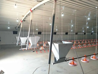 Solution clé en main pour élevages avicoles : Conception de poulaillers, équipement d'alimentation, d'abreuvement et d'élevage entièrement automatique pour l'élevage de poulets de chair et de poules pondeuses