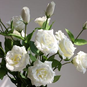 J-078 Longue Tige Blanc Rose Pivoines Artificielle Lisianthus Fleur Real Touch <span class=keywords><strong>Eustoma</strong></span> <span class=keywords><strong>Grandiflorum</strong></span> pour la Saint-Valentin - Product Image 1