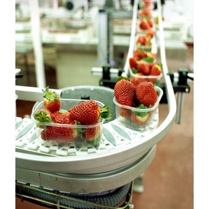 Nhựa chuỗi băng tải bảng Top 882tab đường cong chuỗi hệ thống băng tải cho thực phẩm và đồ uống, cà chua Ketchup băng tải - Product Image 6