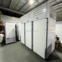-40 ° Congélateur-chiller industriel commercial à 3 portes pour la congélation rapide des glaces, pizzas et aliments pour animaux de compagnie