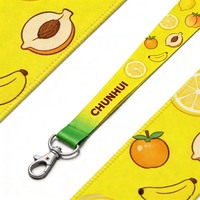 CH Wholesale Sublimation Printing Polyester Lanyards With Logo Custom Certification Keychain OEM ODM ECO Promotion Event Gifts