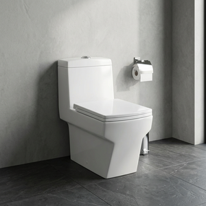 Vente chaude 1 pièces toilette éthiopie populaire Golden Dragon Water Closet S-trap siège de toilette monobloc pour Ehiopia - Product Image 5