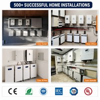 Batería de Iones de Litio LiFePO4 de Ciclo Profundo 48V 51.2V 100Ah 200Ah 314Ah 10kW 30kW para Almacenamiento de Energía Doméstica, Cajas y Soportes Prismáticos