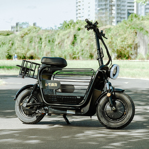 Excelente Oferta D+ Big Dudu Bicicleta Eléctrica de un Solo Motor con Marco de Acero 48V 500W, Espacio de Almacenamiento Versátil, Transportador para Perros Medianos y Grandes - Product Image 2