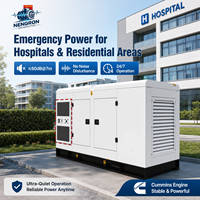 Groupe électrogène industriel au gaz naturel 50 kW 100 kVA GPL Propane Silencieux Insonorisé Centrale Électrique Usine Exploitation Minière