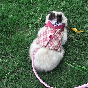 Set di Abbigliamento per <span class=keywords><strong>Conigli</strong></span> con Papillon a Quadretti e Guinzaglio con Anello, Stile Principessa - Product Image 4