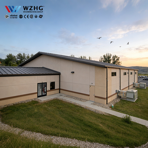 Structure en acier PEB Q235, structure robuste pour terrain de football et de basketball intérieur, isolée pour les clubs sportifs - Product Image 1