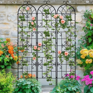 <span class=keywords><strong>Treillis</strong></span> de jardin <span class=keywords><strong>pour</strong></span> <span class=keywords><strong>plantes</strong></span> <span class=keywords><strong>grimpantes</strong></span>, <span class=keywords><strong>treillis</strong></span> <span class=keywords><strong>en</strong></span> métal antirouille <span class=keywords><strong>pour</strong></span> fleurs et roses, extérieur - Product Image 1