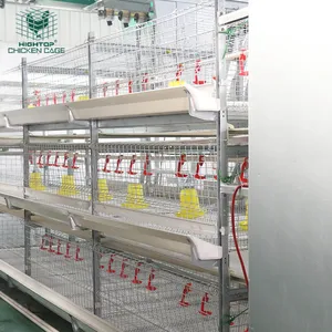 HIGHTOP3層4層Hタイプモダンデザイン家禽農機具自動チキンブロイラーケージ