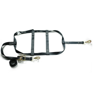 Dịch Vụ Tùy Chỉnh Đen 2 Inch 3333lbs Snap Hook <span class=keywords><strong>Tow</strong></span> Dolly Giỏ Dây Đai Điều Chỉnh Lốp Bánh Xe Tie Down - Product Image 2