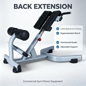 Chaise romaine commerciale, banc d'hyperextension, service OEM, équipement de fitness personnalisé pour salle de sport - Product Image 5
