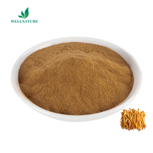 Cung Cấp Nhà Máy 100% Đông Trùng Thảo Tự Nhiên Militaris Chiết Xuất 10:1 Hạ Thảo <span class=keywords><strong>Sinensis</strong></span> Chiết Xuất Bột - Product Image 3