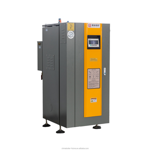 Caldera de Vapor Eléctrica Vertical Automática de Baja Presión y Circulación Natural Más Económica, Ahorro de Energía para el Sacrificio de Aves de Corral en África - Product Image 1