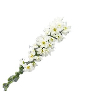 Fleurs artificielles Queyiyi en forme de queue d'hirondelle, en soie, blanches, roses, bleues, violettes, pour décoration de mariage et de la maison - Product Image 5