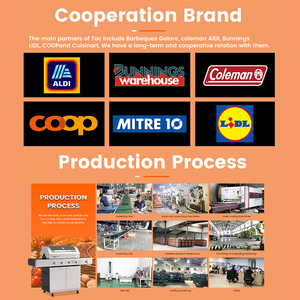 <span class=keywords><strong>Barbecue</strong></span> d'extérieur avec 3 brûleurs intégrés, série disney de champagne, Grill au gaz, <span class=keywords><strong>maison</strong></span>, pour l'extérieur - Product Image 6