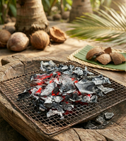 Charbon de coque de noix de coco à structure dense, à haute valeur calorifique et à faible teneur en cendres, idéal pour l'énergie propre et la production de briquettes