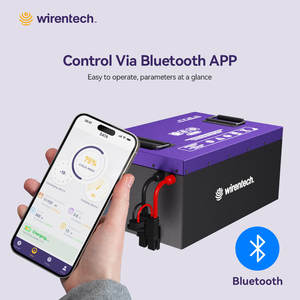 Şarj edilebilir elektrikli triportör bataryası 24V 36V 48V 50Ah Battery pil yedekleme derin döngüsü süper performans lityum piller - Product Image 6