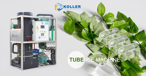 Nhà máy thương mại giá 30 10 tấn 5 tấn nhà sản xuất ống máy nước đá 20 tấn - Product Image 5