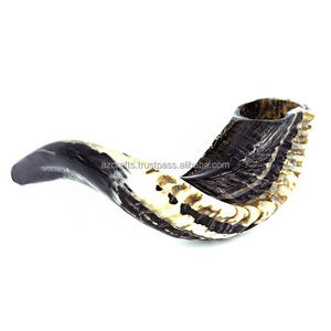 Corne de Ram shohard faite à la main, demi-poli, naturelle, vente en gros - Product Image 3