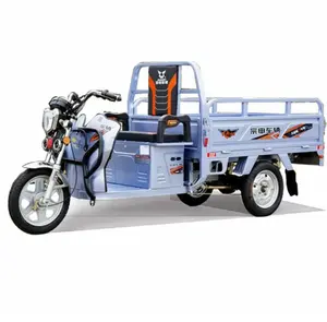 Electric Tricycle For Cargo Loading Battery Operated Tricycle