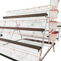 Cage commerciale de type A à 4 niveaux et 20 000 couches, avec coussinets en éponge pour protéger les œufs, réduit les bris à 0,3 % pour l'exportation