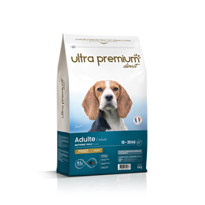 Vente chaude ingrédients purs aliments pour animaux de compagnie naturels à faible teneur en grains croquettes sèches biologiques adultes races moyennes - Product Image 1