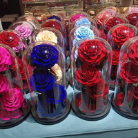 Fleurs séchées éternelles préservées sous cloche en verre avec taille et source de lumière personnalisables - Cadeau longue durée pour toutes les occasions