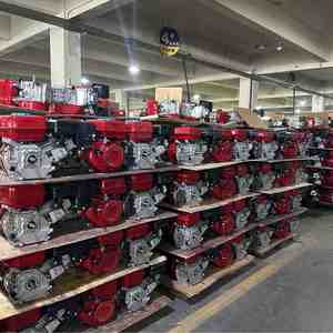 Top Quality 4-Stroke 163cc 5.5HP <b>Gasoline</b> Engine 168f for Salefob Reference Price - Product Image 5