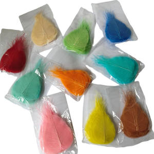 Daun Linden kering dengan pembuluh bunga dan daun untuk bookmark atau kerajinan tangan 100 buah per tas untuk dekorasi rumah atau pernikahan - Product Image 1