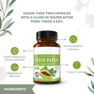 WELLBODY OEM/ODM Private Label Fornecimento De Fábrica Halal Natural Orgânico Verde Papaia 4:1 Cápsulas De Extrato De Frutas para a Saúde Do Corpo - Product Image 2