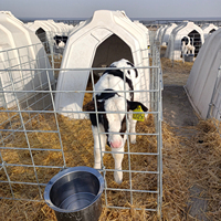 Cage à bétail confortable et saine, enclos à veau de haute qualité, niche à veau, enclos pour bétail TERRUI, abri pour bétail