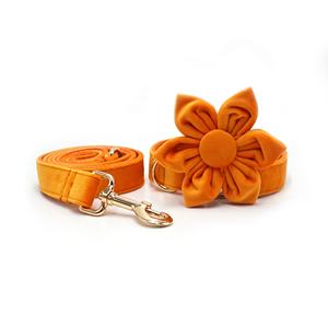 Conjunto de dos piezas de moda, flor de perro ajustable a la moda, bonitos collares y correas de perro personalizados de terciopelo naranja, correas para mascotas - Product Image 4