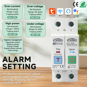 63A Pemutus Sirkuit Cerdas 2P yang Dapat Disesuaikan Wifi Proteksi Tegangan Arus Kebocoran Timer Relay Pemutus L+N 110V 230v - Product Image 2
