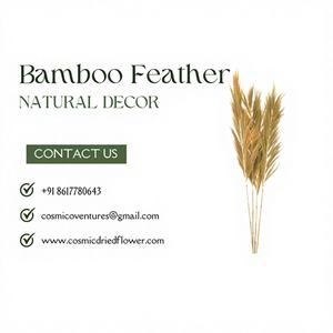 Artisanat en Plumes de Bambou Naturel Écologique de Haute Qualité pour Vente en Gros – Idéal pour Bricolage, Remise de Diplôme, Fête des Pères, Halloween - Product Image 1