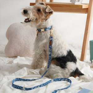 Collier pour animaux de compagnie en coton imprimé, taille XS, moderne, élégant, confortable, durable, style luxueux, personnalisé pour les chiens et les chats de petite race - Product Image 2