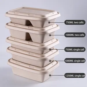 Biologisch Afbreekbaar Wegwerp Servies Voedsel Verpakking Suikerriet Bagasse Container Clamshell