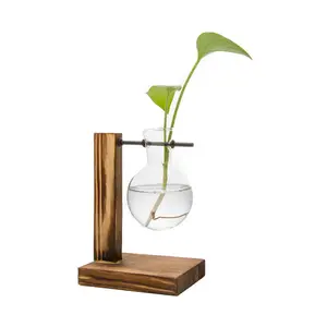 空气植物水培植物台式玻璃花盆灯泡玻璃花瓶，带木架繁殖站