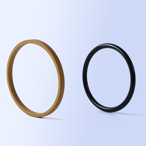 <span class=keywords><strong>PTFE</strong></span> hydraulische zuigerdichting met OEM ODM service voor hydraulische persafdichting - Product Image 1
