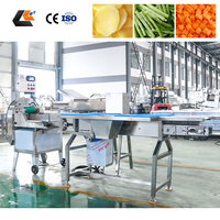 Industriële fruit- en groentesnijmachine Sus304, automatische hoge capaciteit verwerkingslijn 800-1500kg/u