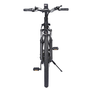 <span class=keywords><strong>Freego</strong></span> China Venta caliente 48V Bicicleta eléctrica de neumático grueso con batería extraíble Bicicleta de montaña eléctrica - Product Image 3