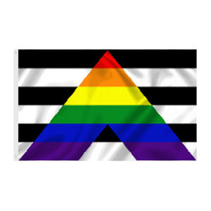 Drapeau Gay arc-en-ciel, 3x5 pieds, en soie, imprimé, convient à l'intérieur et à l'extérieur, tout inclus - Product Image 4