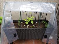 Serre tunnel DIY simple et écologique en plastique avec couverture en filet PE, cadre thermolaqué pour petite plantation de jardin