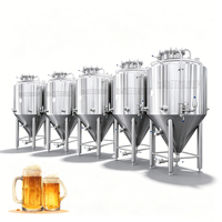 MICET GROUP 1000L SS304 Fermenteur Conique de Bière avec Chemise de Refroidissement, Vannes Sanitaires, Ports CIP pour Micro-Bière Artisanale