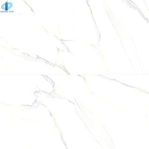 กระเบื้องหินอ่อนเต็มตัวสีขาวแจ๊สกันลื่นทนอุณหภูมิสูงขนาดใหญ่ทั้งบ้านสากล - Product Image 4