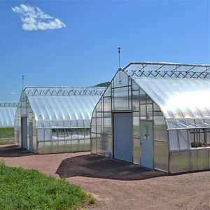 دفيئة زراعية عالية للطماطم الاستوائية، هيكل معدني للخضروات، دفيئة بغشاء للنباتات - Product Image 3