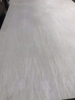 Lembaran Kayu Lapis Putih Inti Poplar 4*8 Kaki Serbaguna untuk Impor India